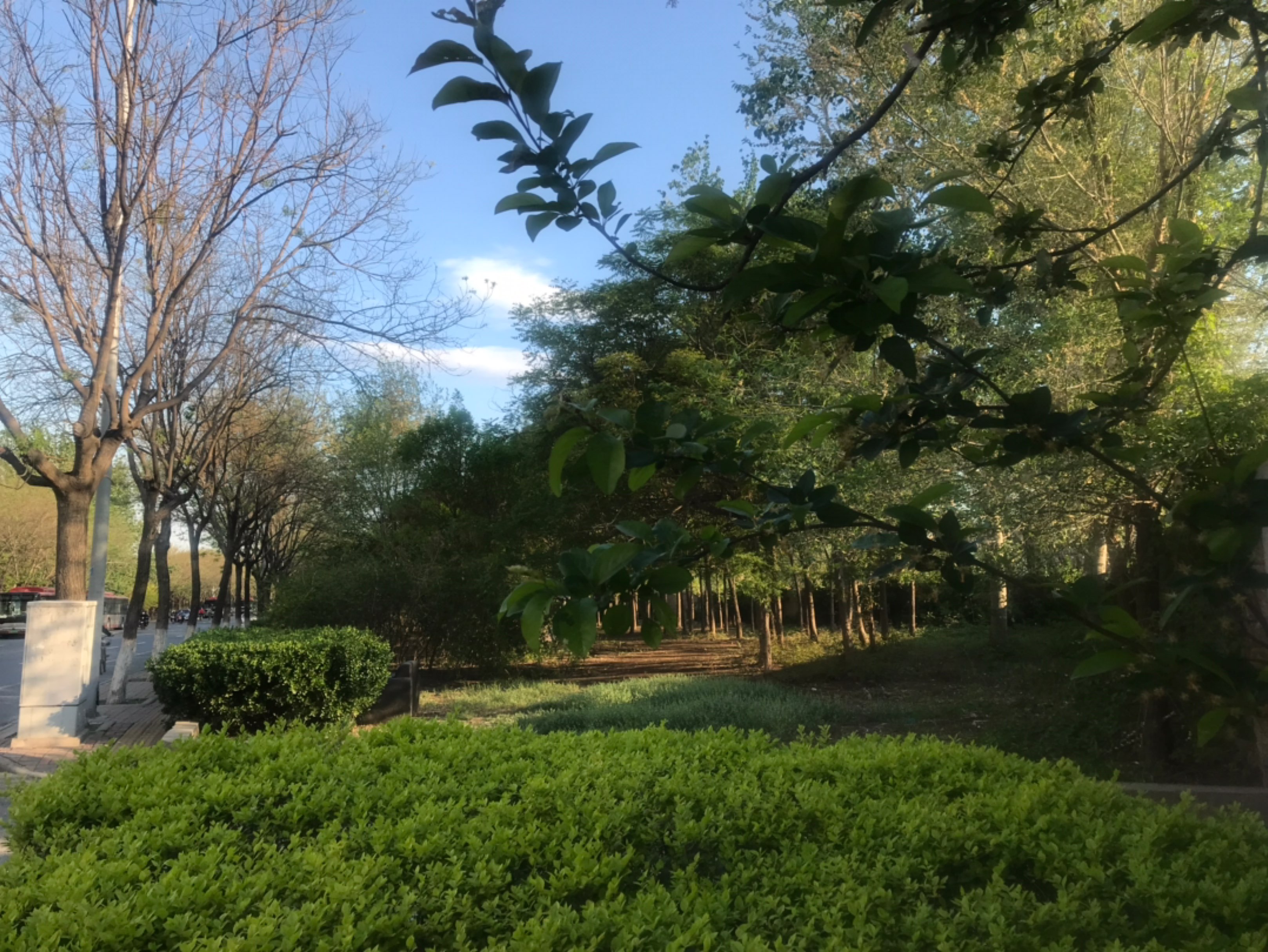 微风,天气很凉爽