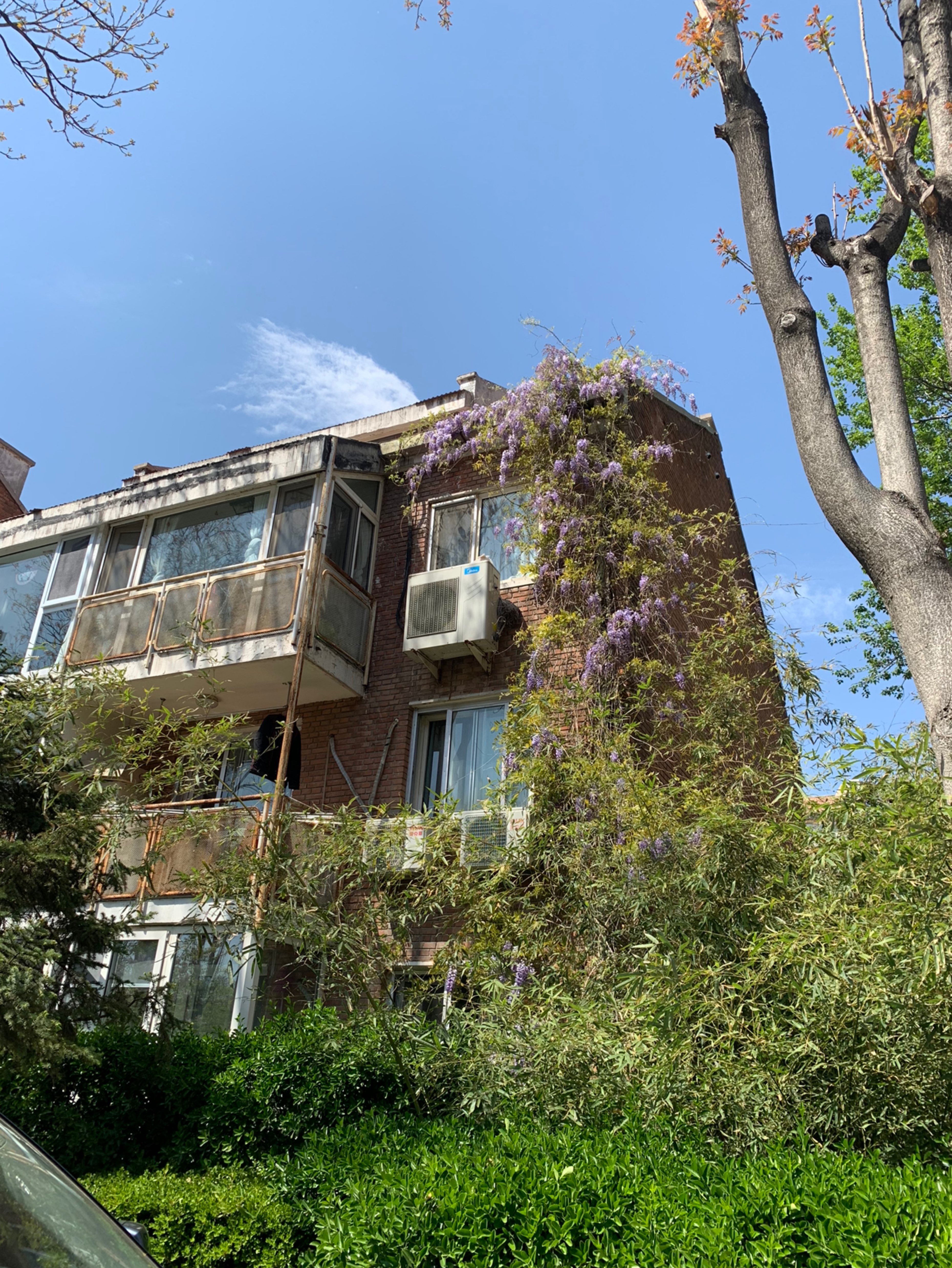 减脂首选户外跑,更容易跑步上瘾哦05今天选择的小区丛林跑05还是