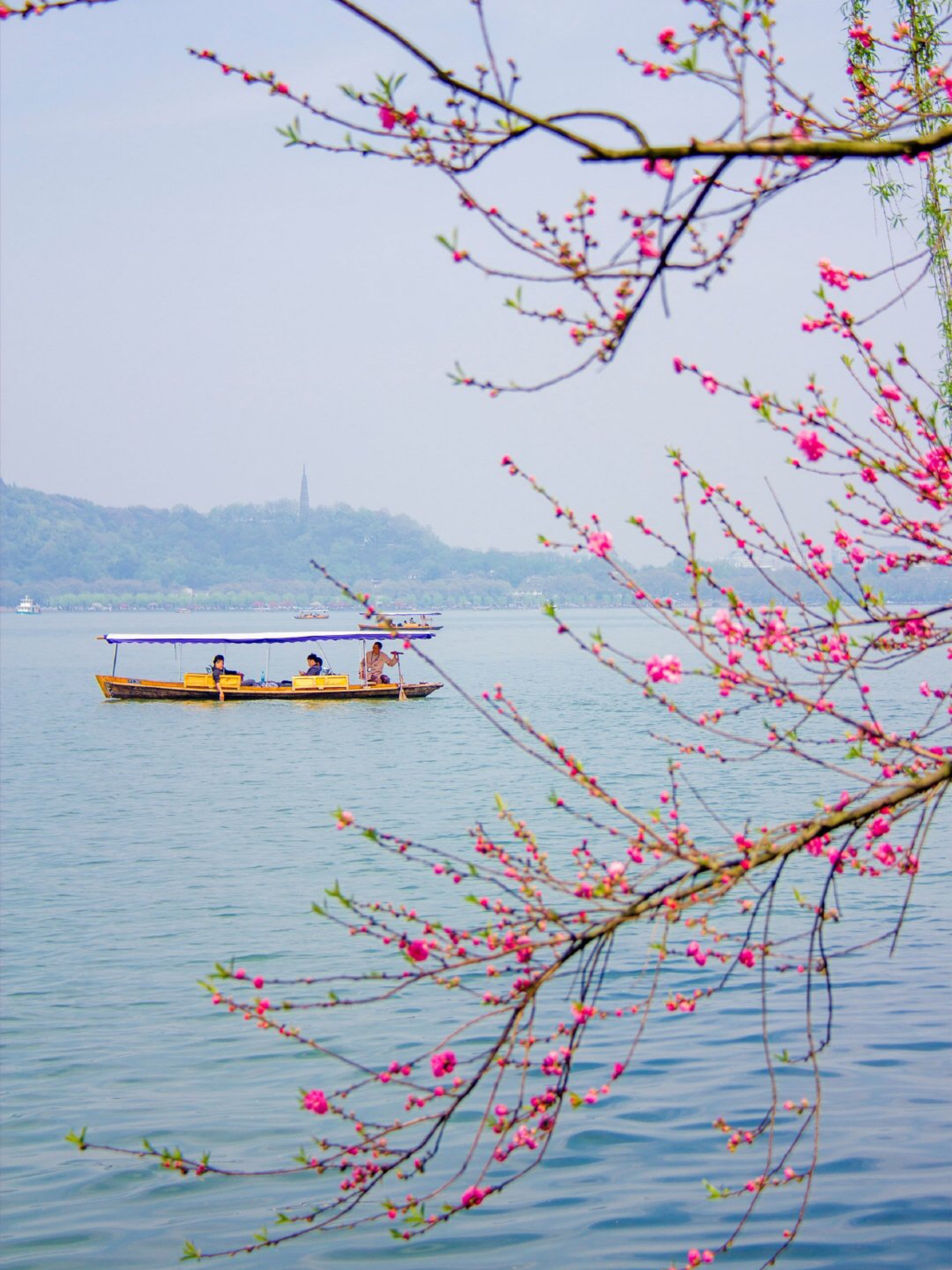 烟波岸边桃花红,细柳长垂绿春风_keep