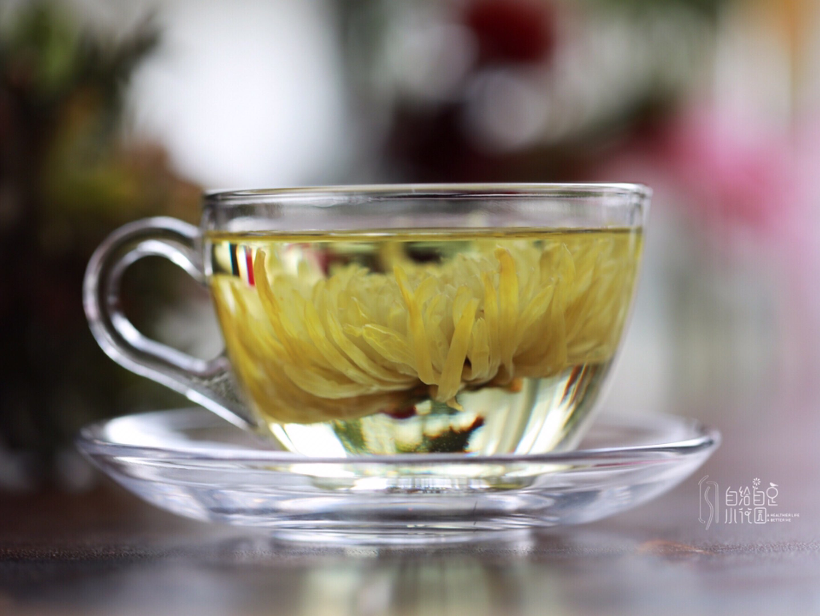 谷雨时节,清茶一盏.零落黄金蕊,虽枯不改香.