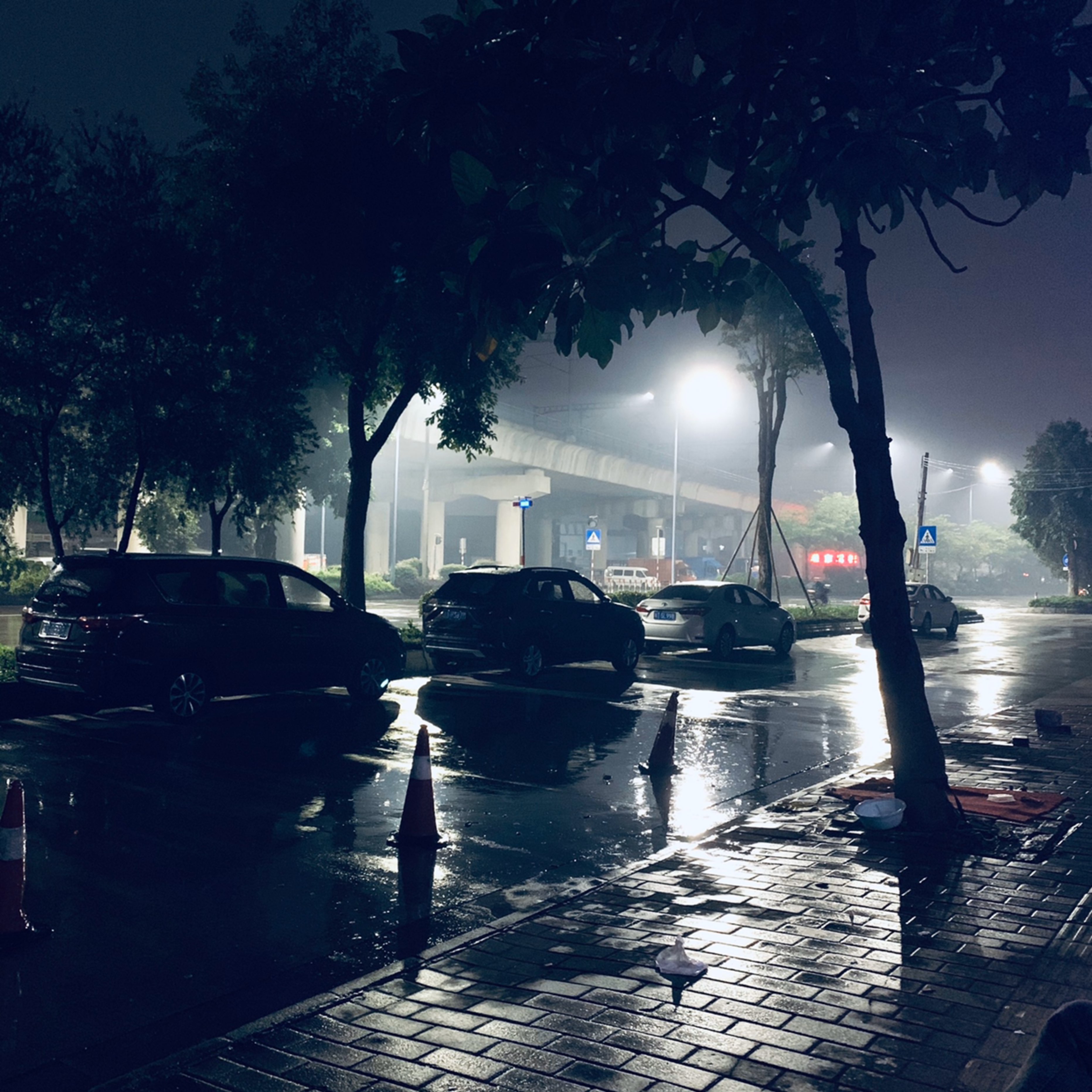 夜晚雨景图片真实图片