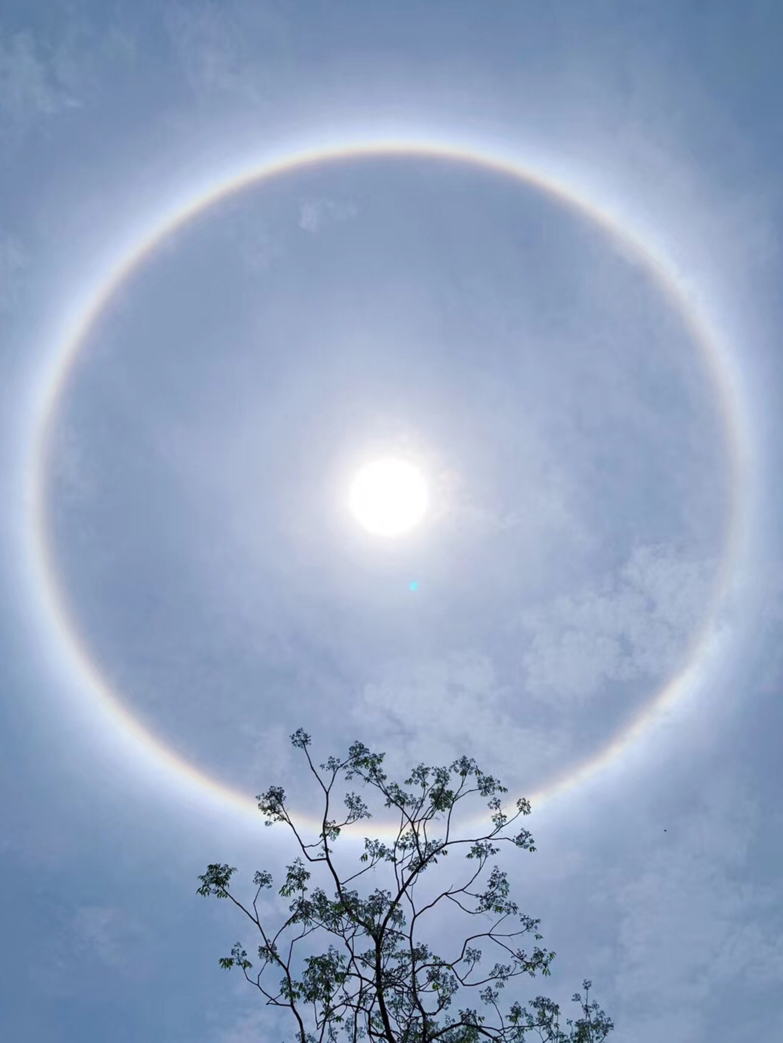 今天的太阳,美爆了的日晕