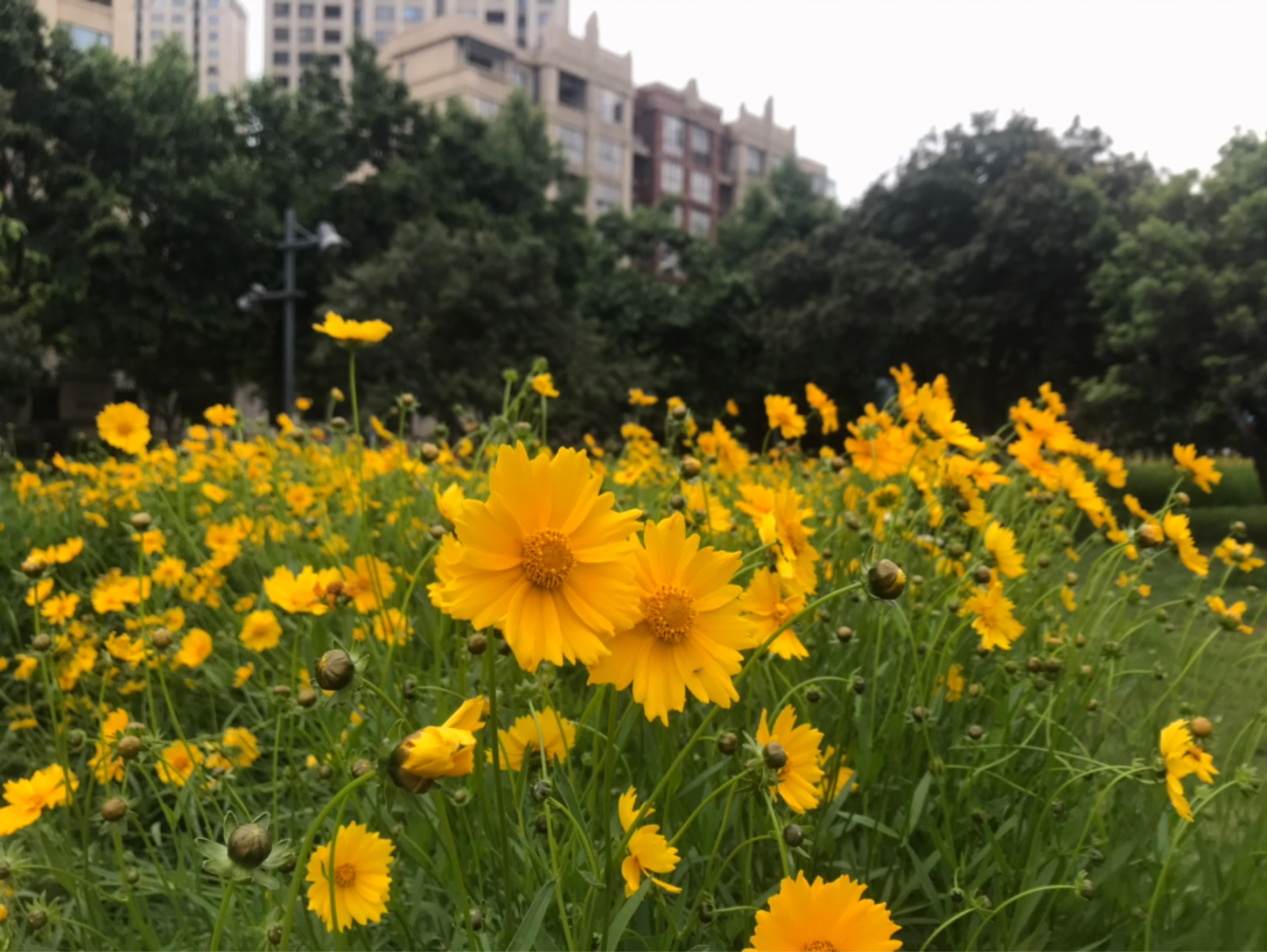 赵叶青sky的动态_keep