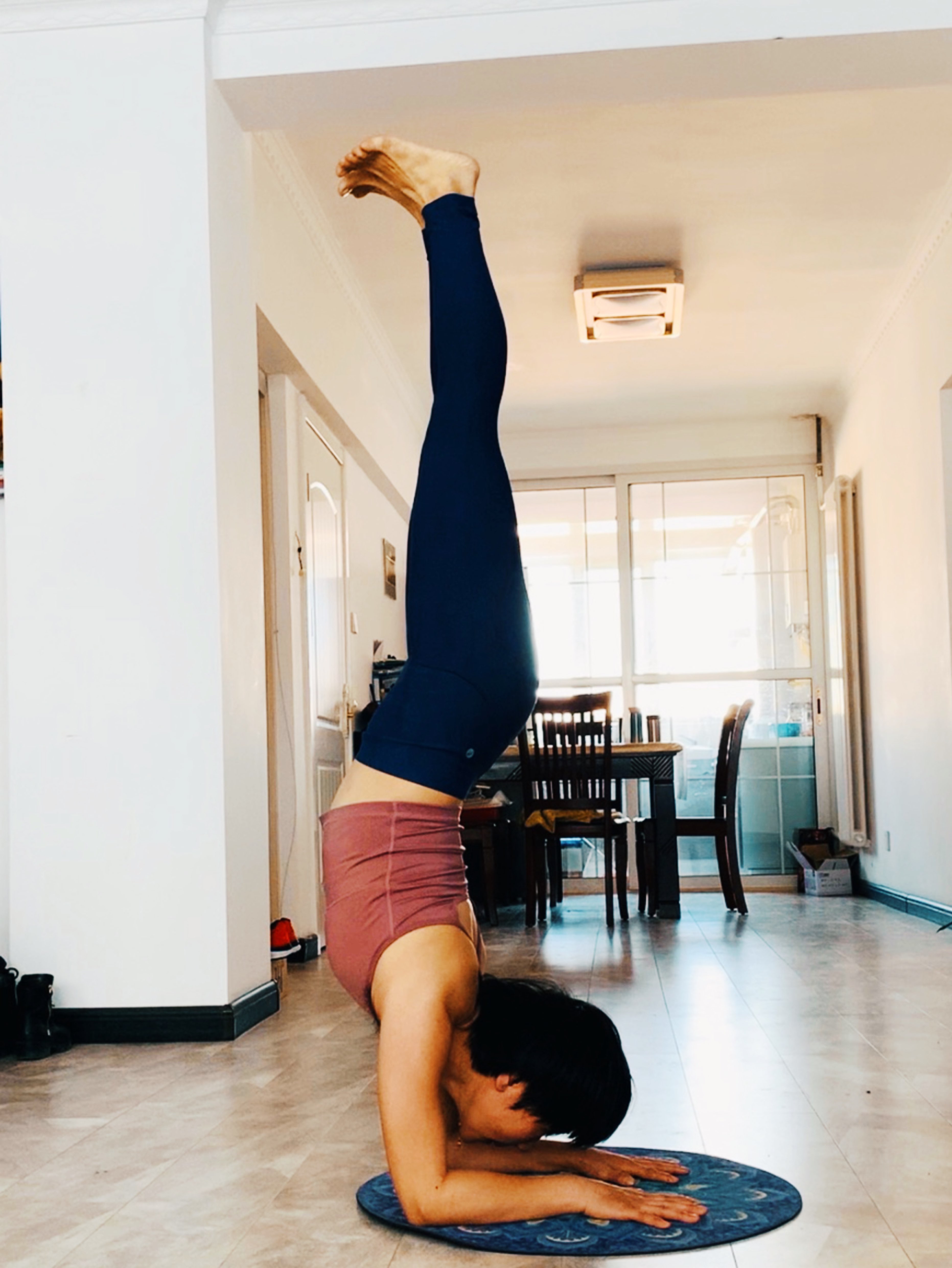 立即参与  完成 前臂倒立之手臂力量建立 第1次