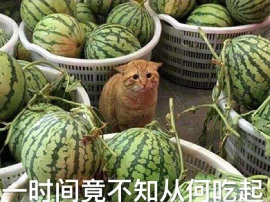 今天你运动了吗[doge][doge][doge][doge]_keep