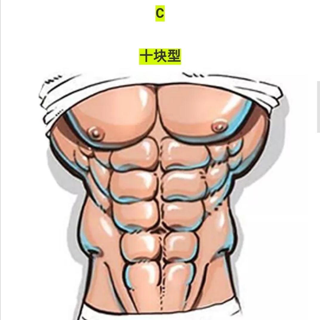 腹肌的十二种形状图片