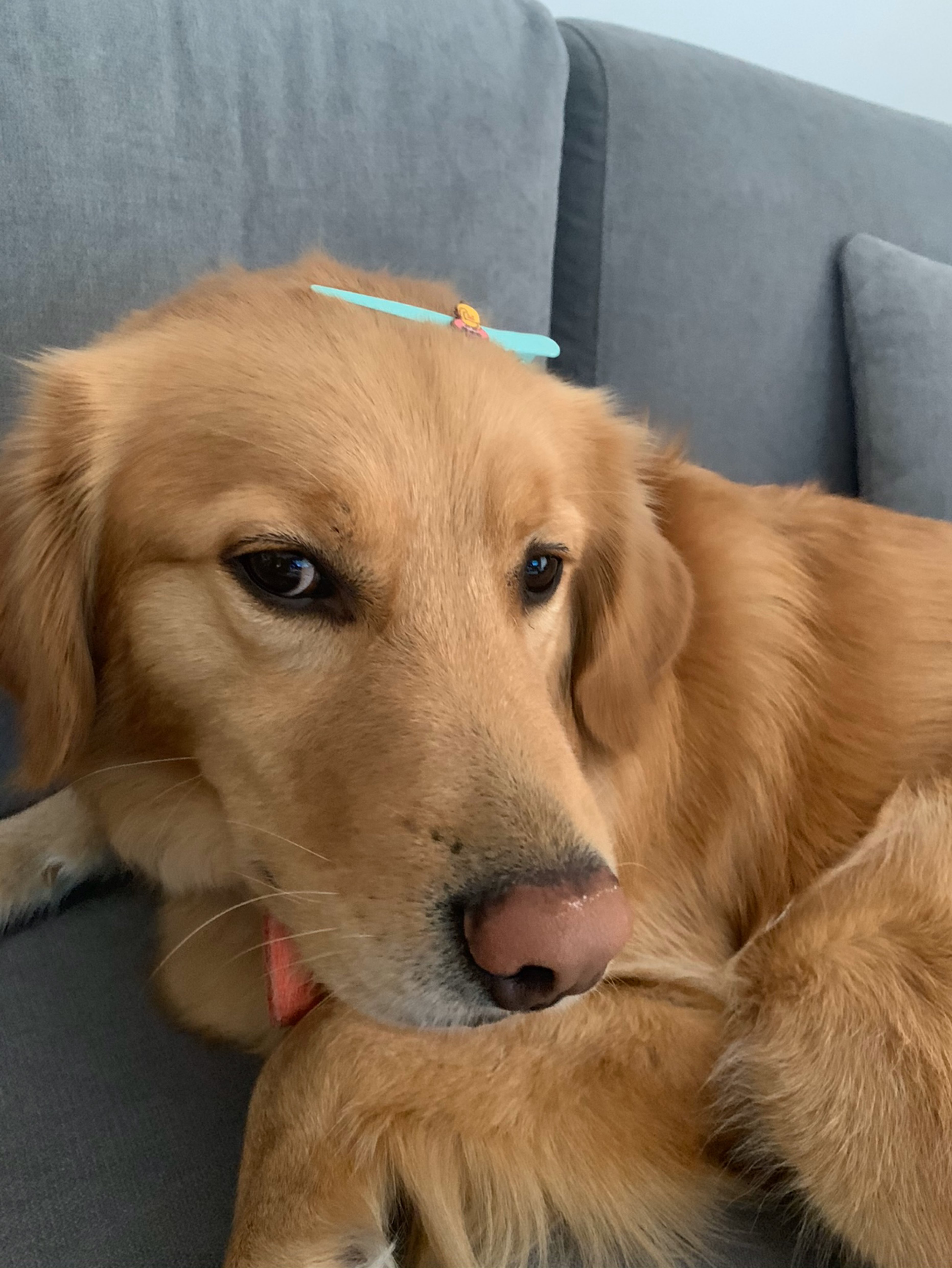 9了,巴特,体脂率依然毫无变化,why