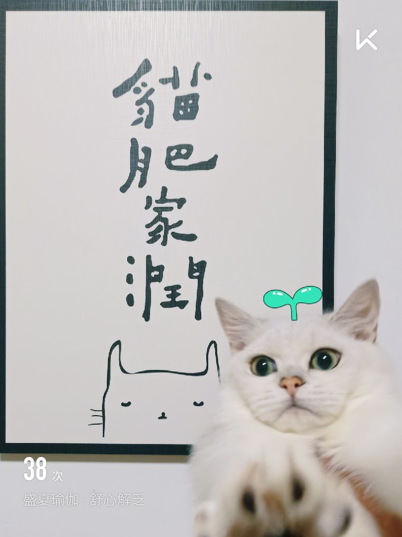 猫肥家润 读书解困 布衣茶饭 可乐终生 相信岁月能够带给你的美好正在