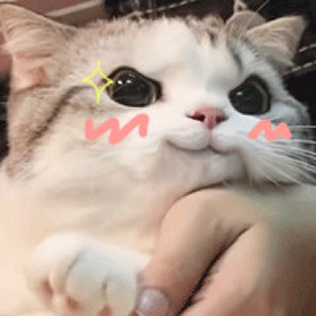 一跑好了 今天主要有练肚子以及瑜伽他们的柔韧度太太好了吧(小声bb)