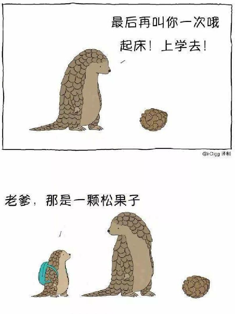 鱼和熊掌不能兼得那你就永远努力将他们收入囊中