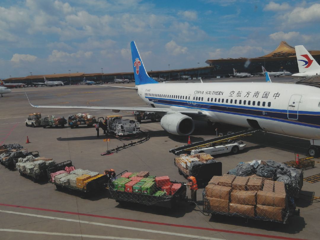 用 live 模式实时分享健身进展 训练 单腿屈腿两头起 1x12 屈膝收腹