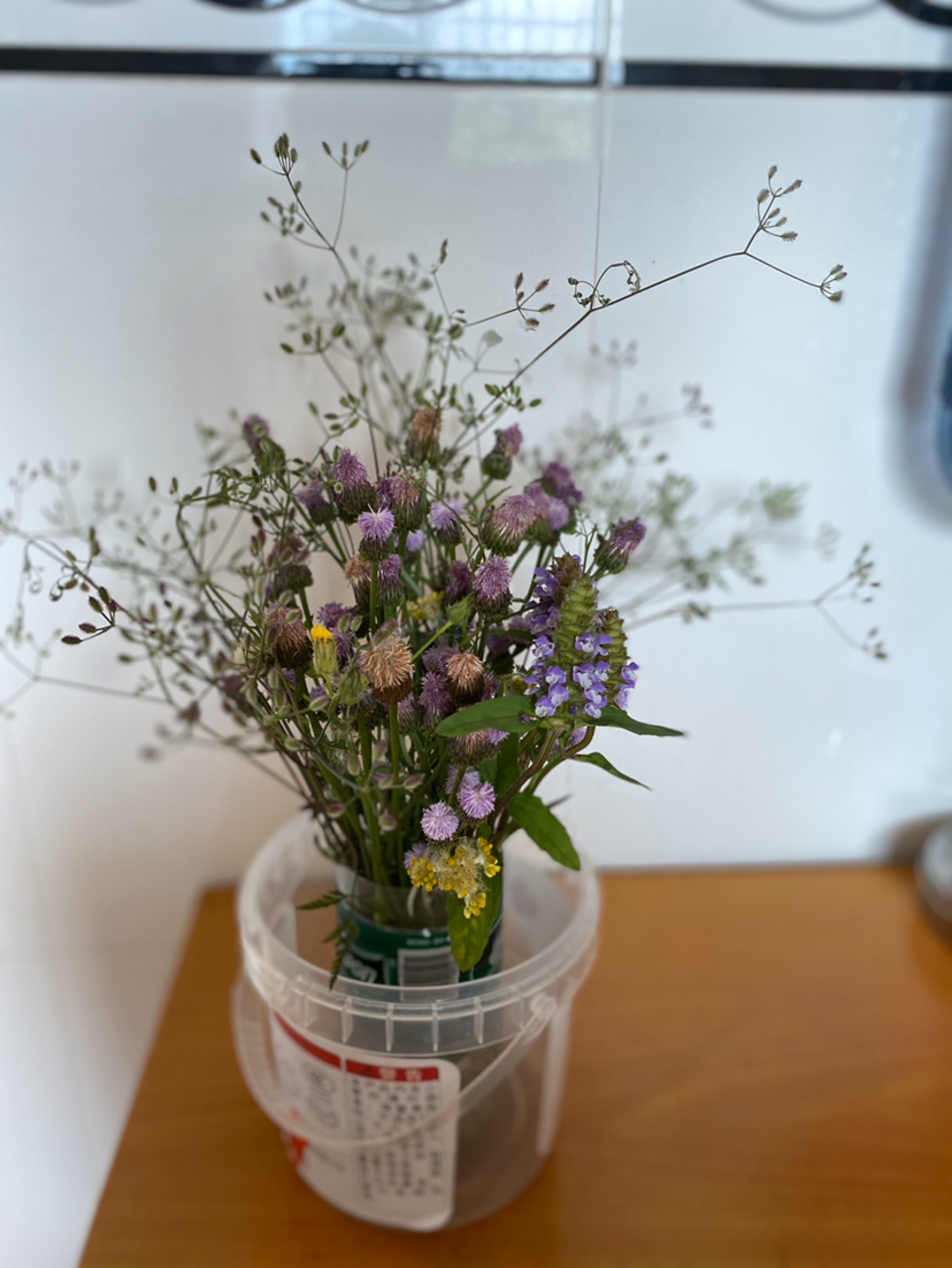 老妈新发明的插花之野花系列没想到也怪好看的最佳燃脂训练课程我还是