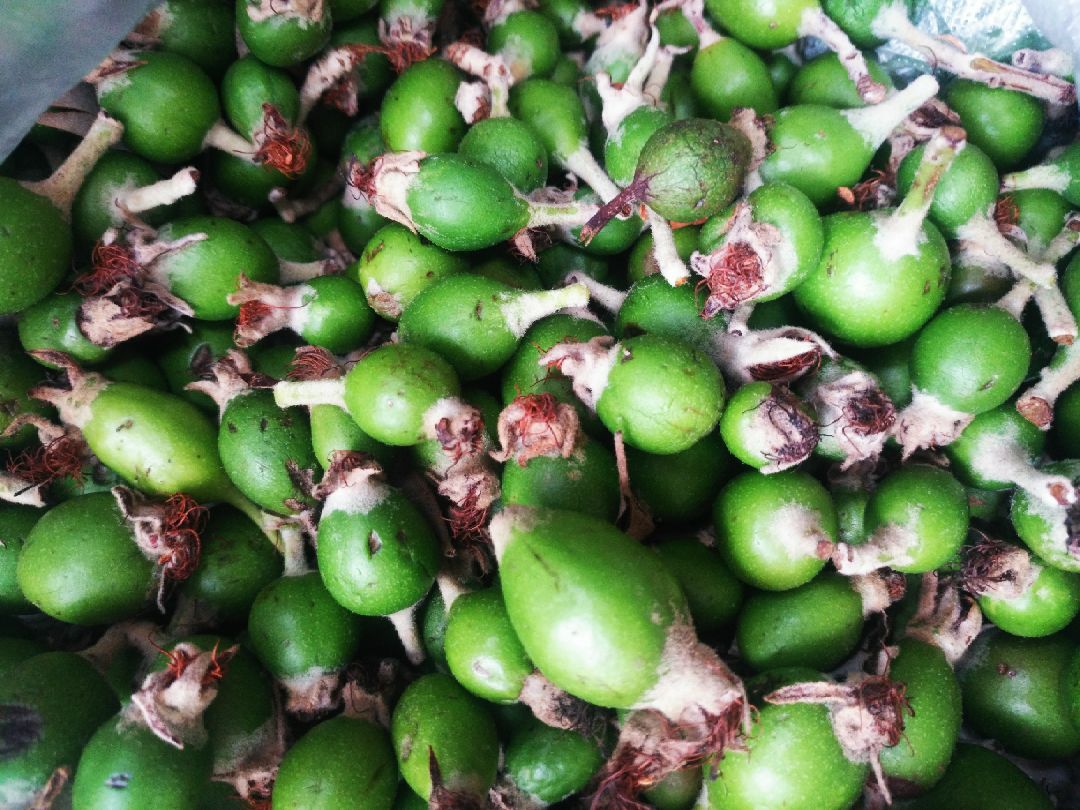 八块钱一个大西瓜,真真便宜,小时候吃的渣豆儿,还有盼望着变红的番茄