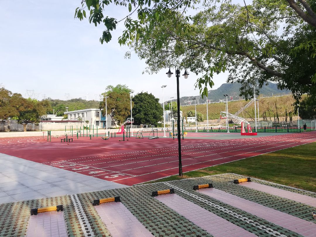 南区田径场 开启跑步实况 精彩动态 大家好,我是体操世界冠军范晔