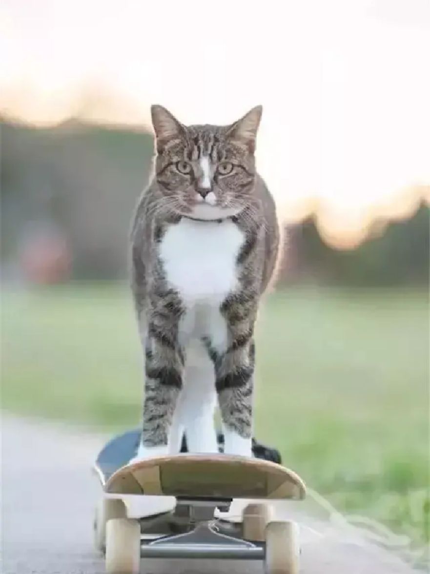 今天好凉快 适合跑步