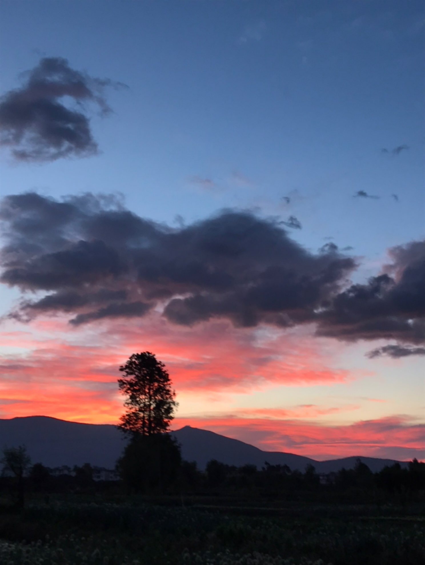 六点钟开始蒙蒙亮,十分开始染色,二十分一片绯红,三十分又黯淡,四十分