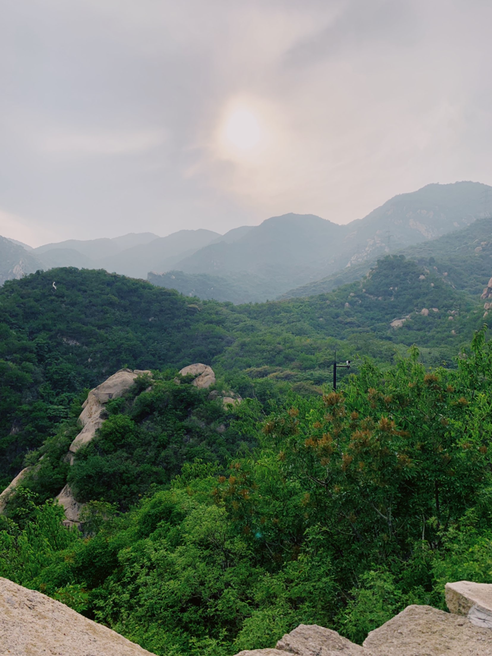 前天又上了一次山,能见度不好,山上果园顺了几颗樱桃