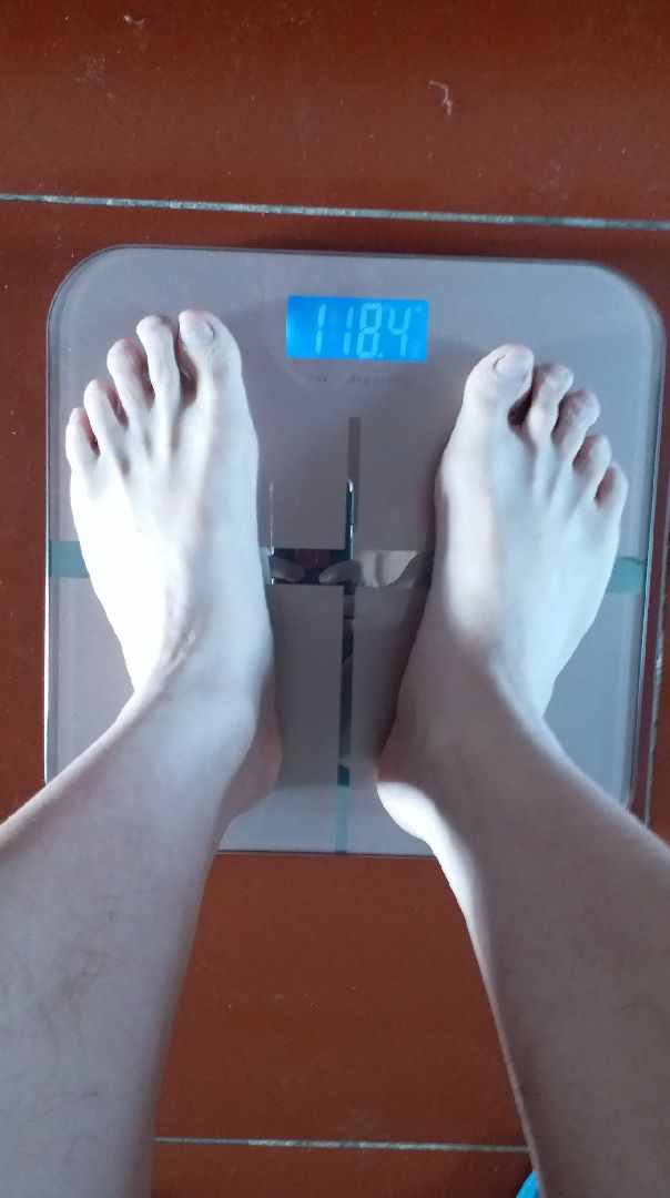 健身减肥第99周,体重1527斤减到1184斤(比上周上涨0