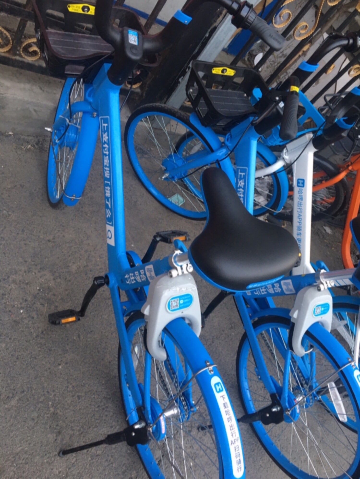 小蓝车有固定的停车位置了,这回感觉好多了,找车子不那么费劲了.