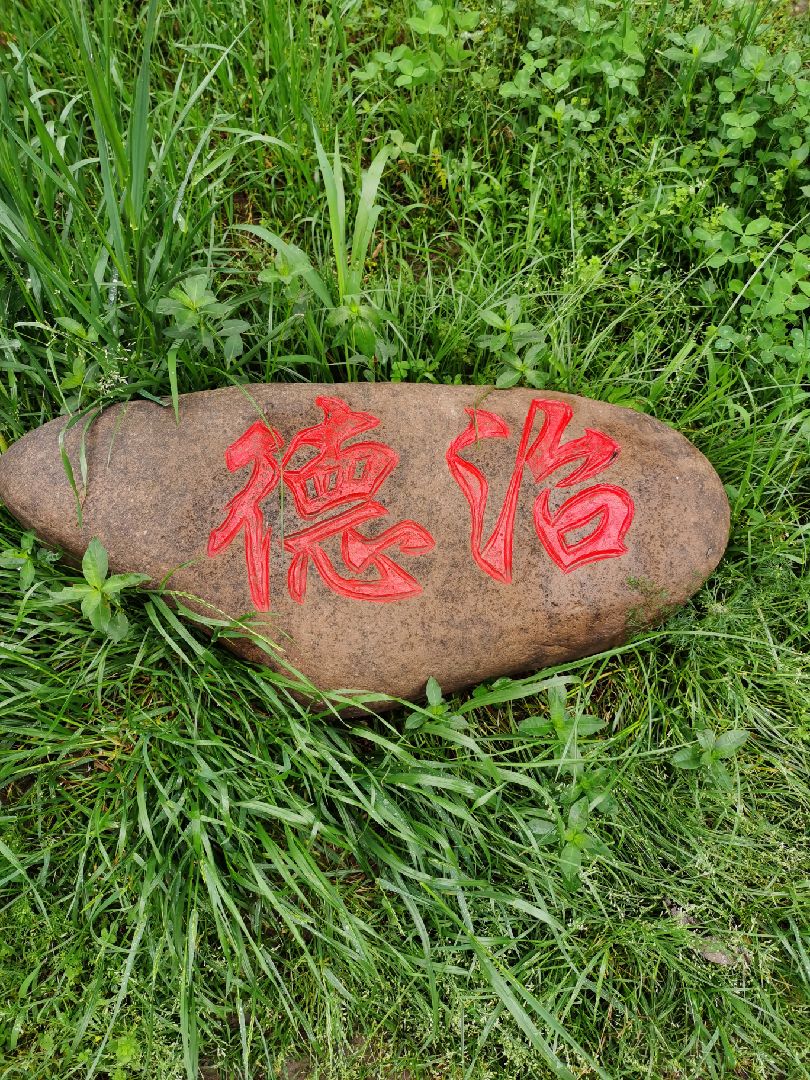 59days德治与自治