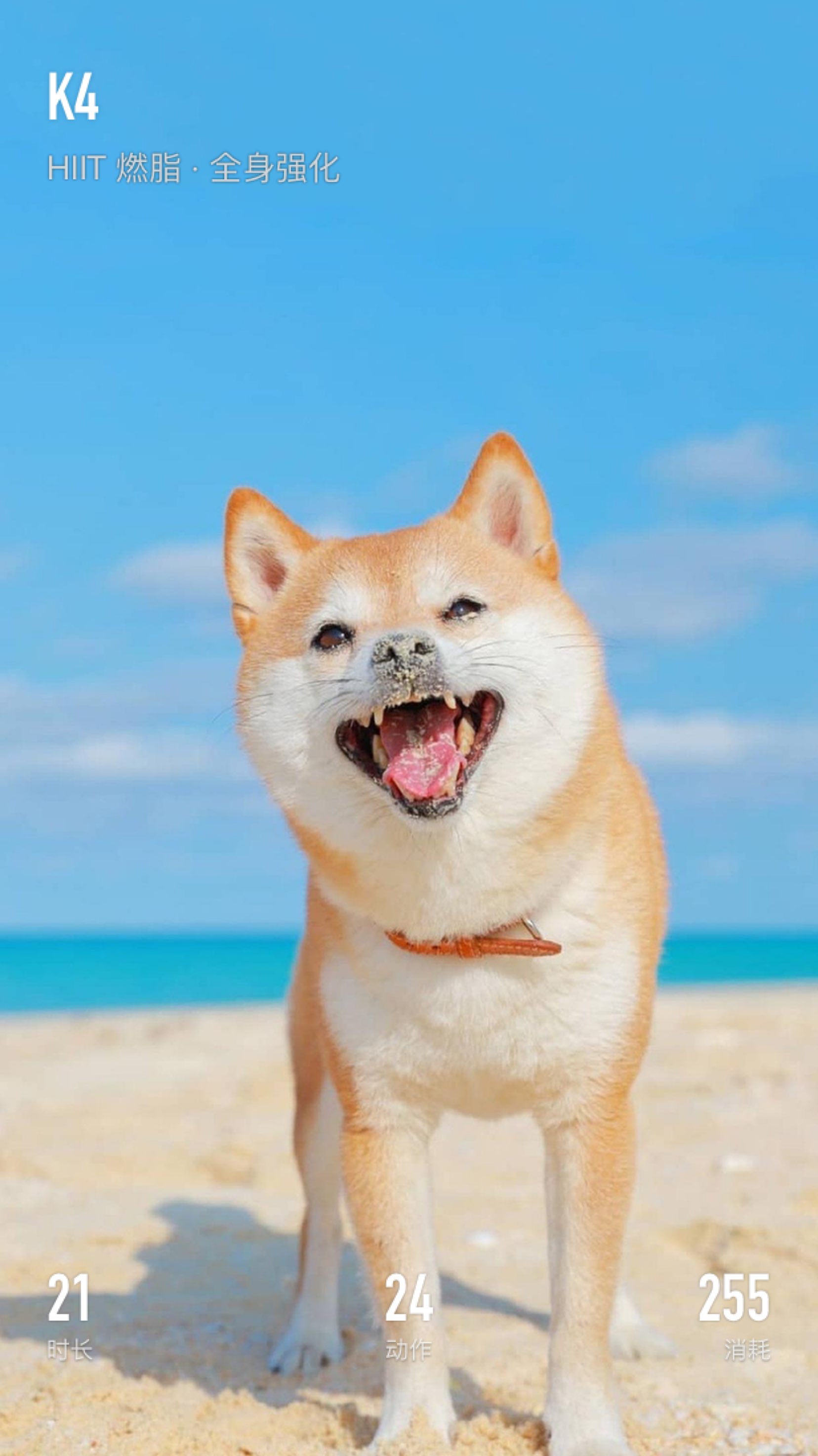 装满好心情,享受一天好生活～结束,周五工作愉快呀.