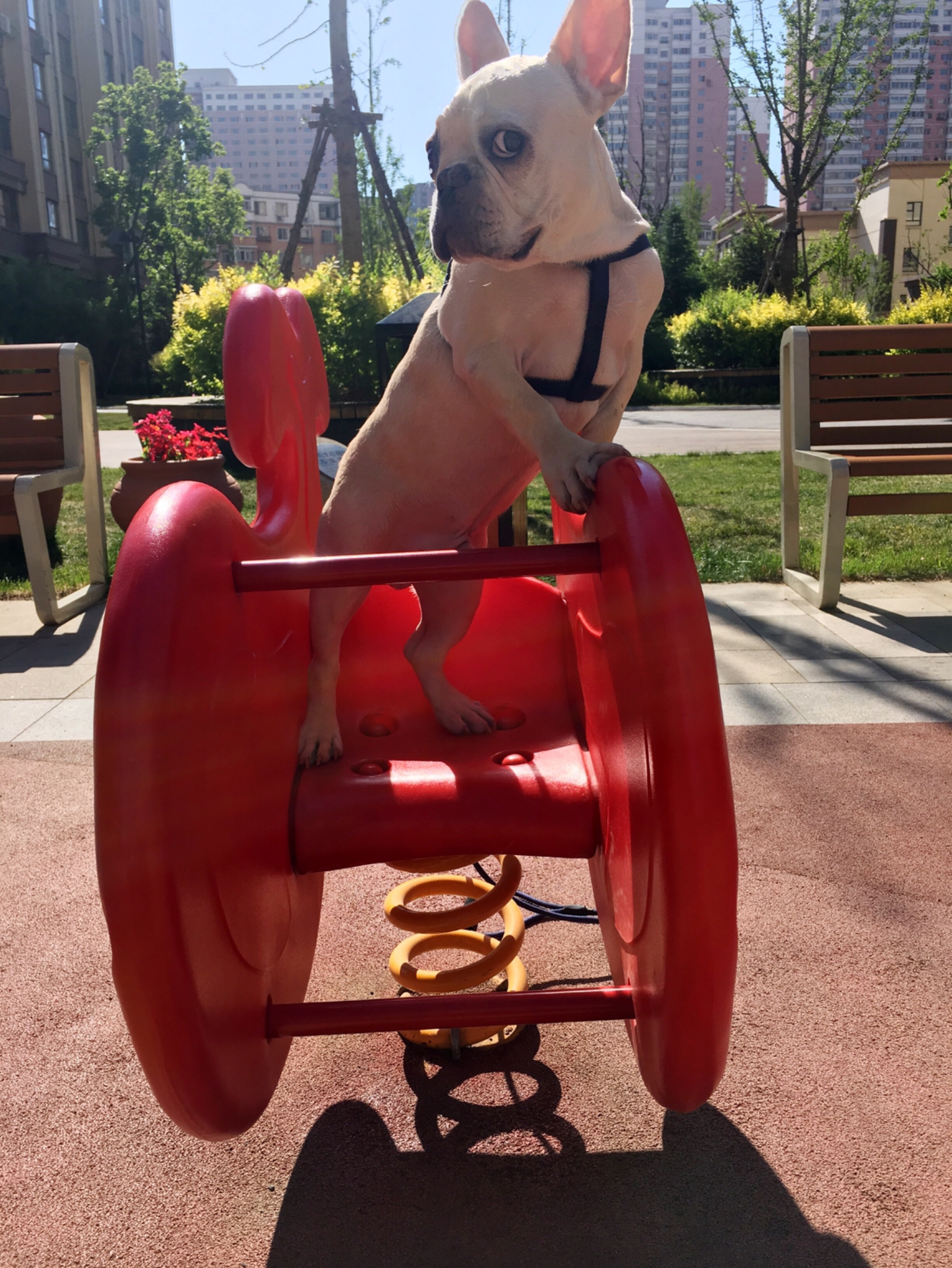 腰腹训练打卡完成(狗子表情包[doge])哈哈哈哈 立即参与  完成 腹肌