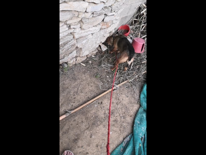 起个名字真鸡儿难的动态_keep