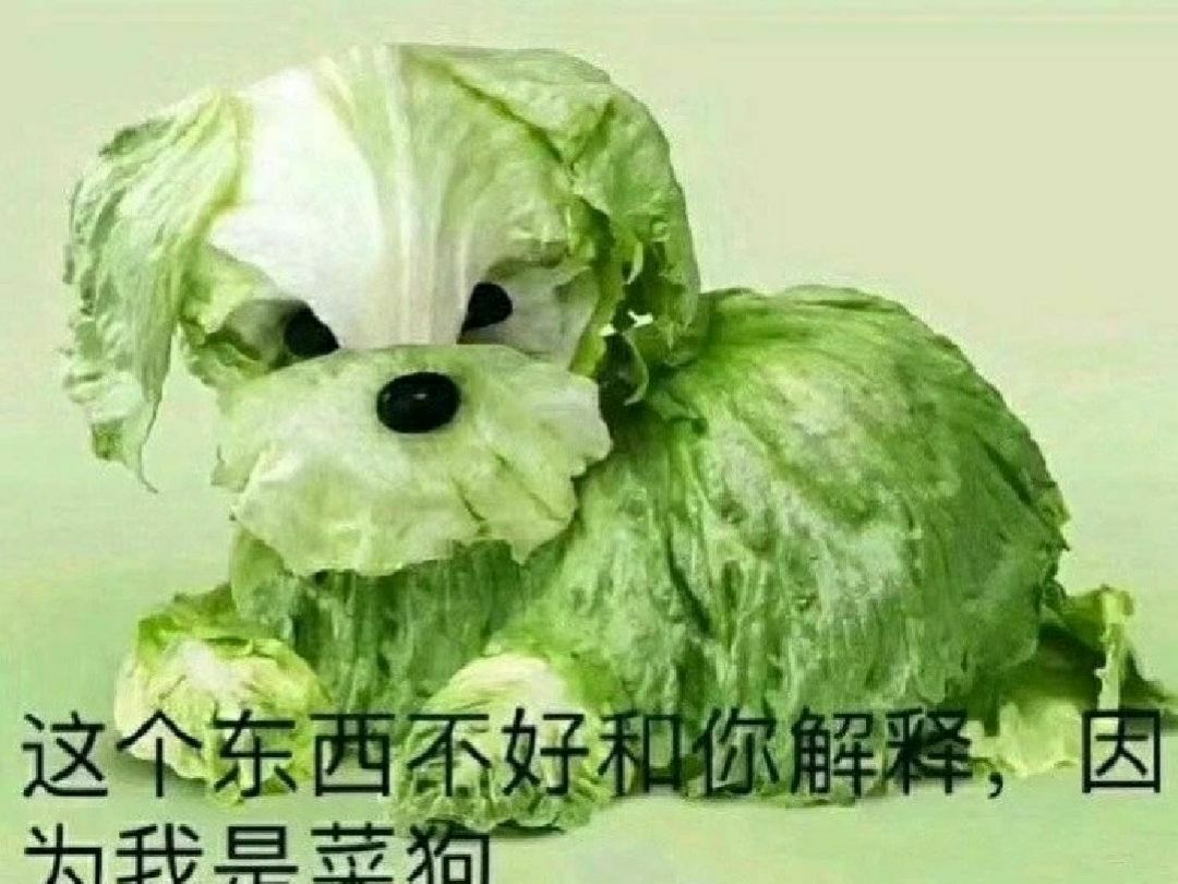 就算是菜狗也要坚持下去