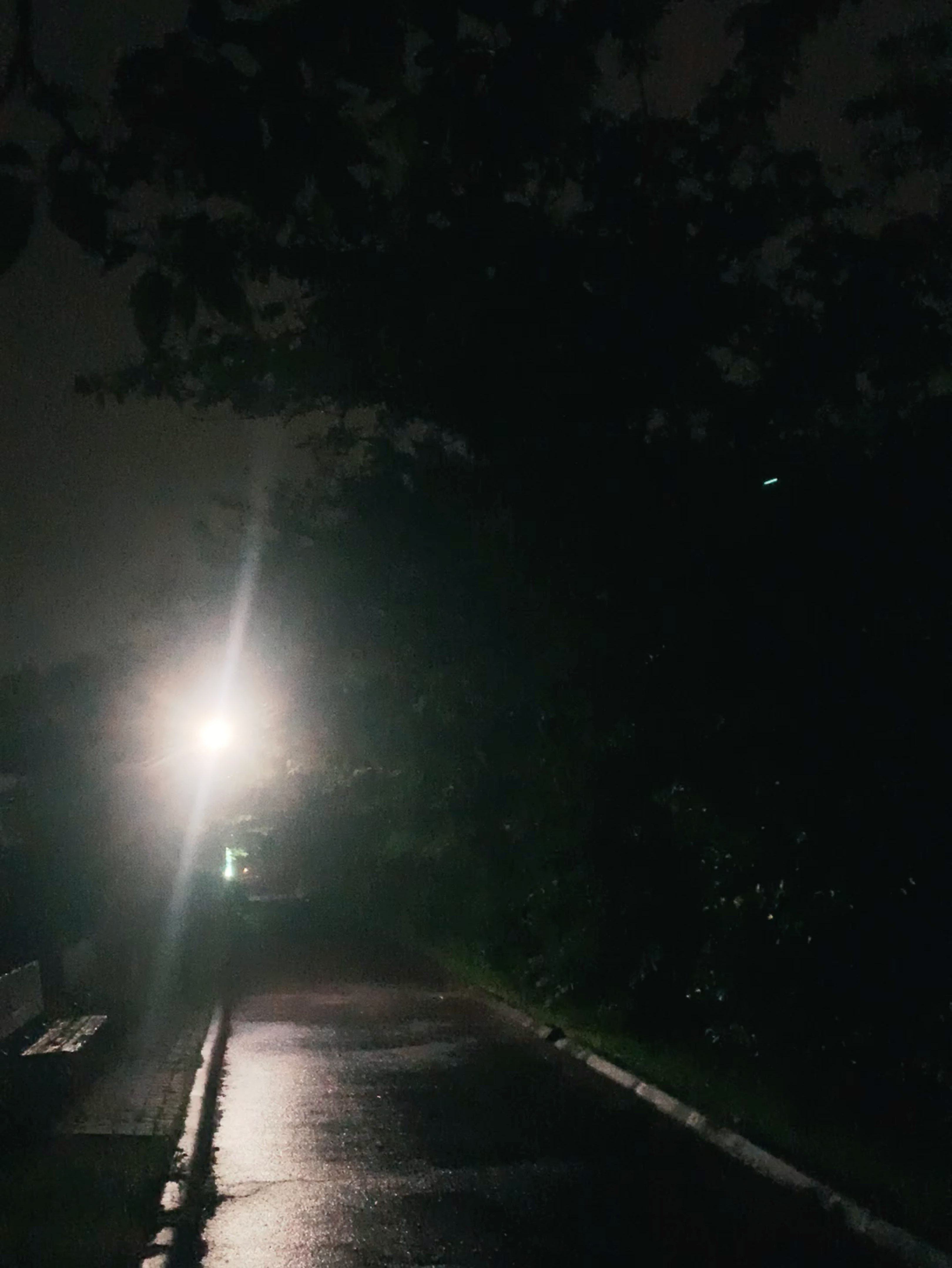 雨天夜跑有点high 第二次10km配速提高啦