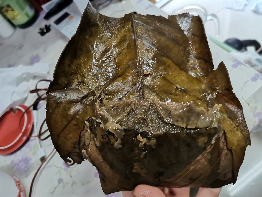 早餐八点多吃了隔壁寝室的爱心早餐(一个粑粑),还有一瓶脱脂牛奶,然后