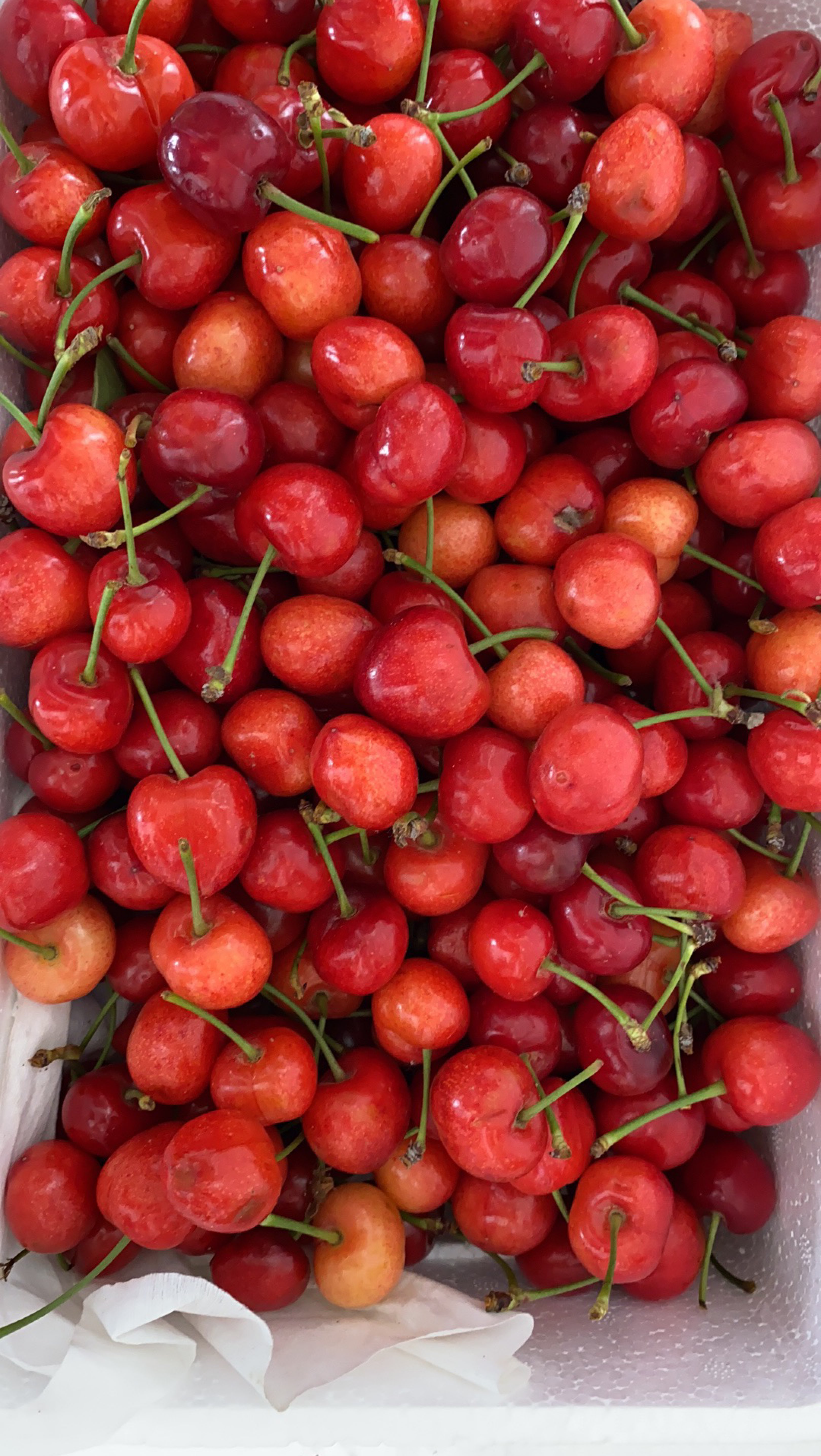 吃了樱桃,今天居然蹲比较轻松