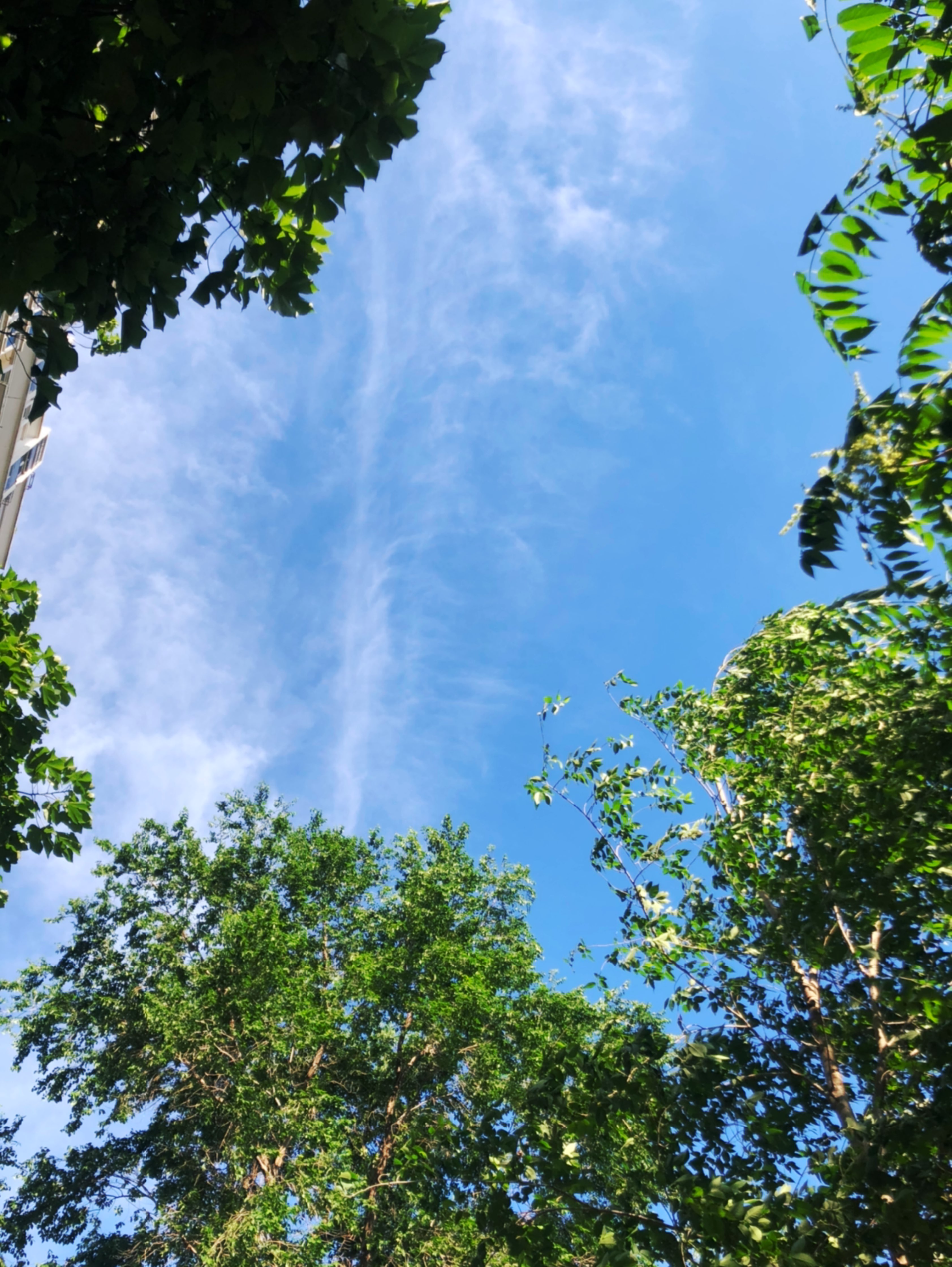 天气好阳光好的图片图片