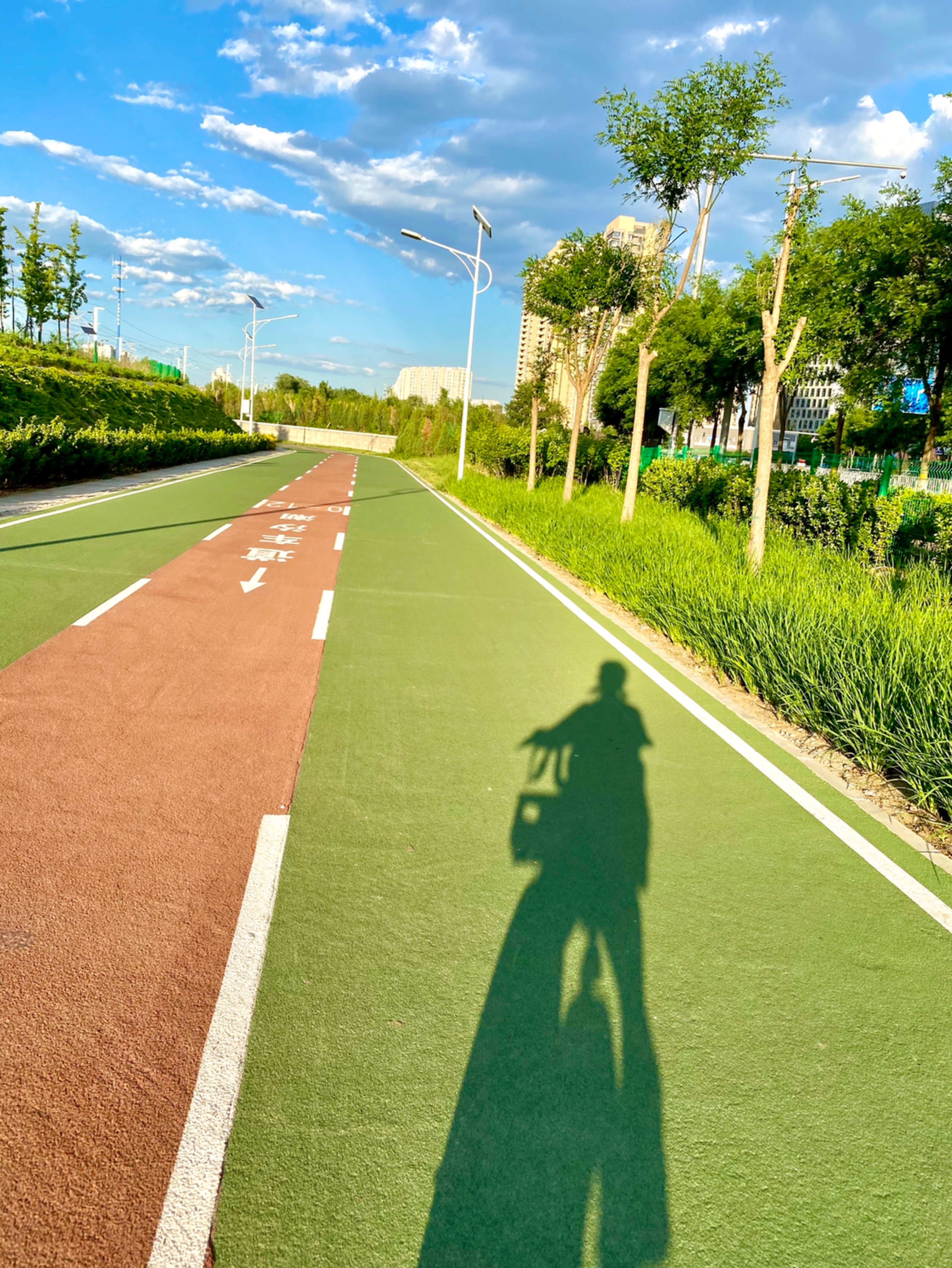 在宫崎骏动画般的蓝天下打卡网红自行车道