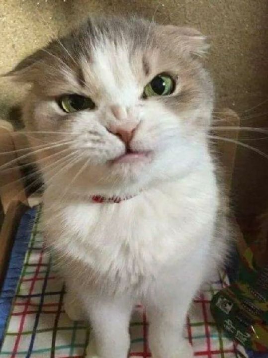 站姿的马甲线训练,这个来试试[苦笑][苦笑]_keep