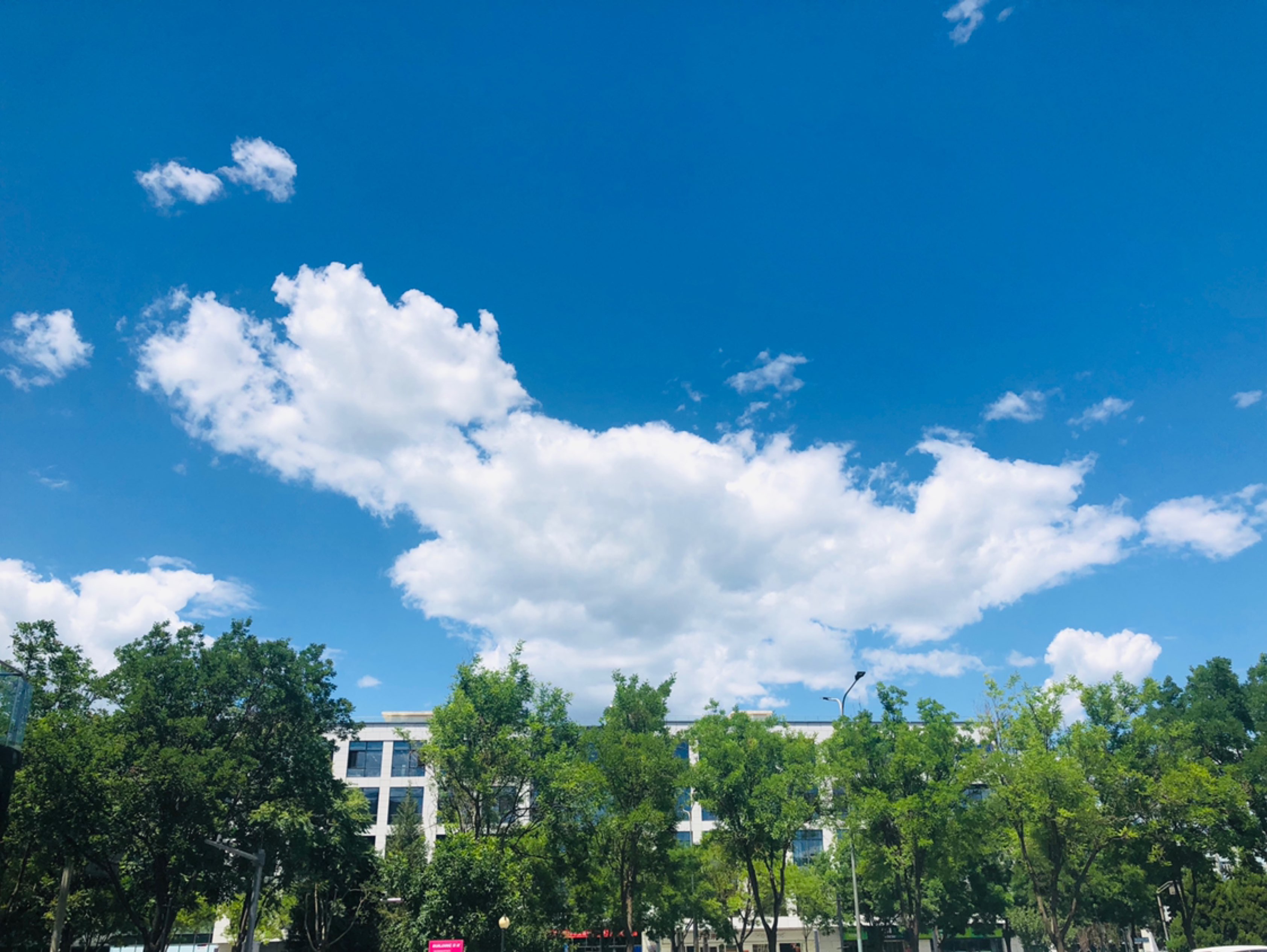 北京今天的天气超好来着,好天气好心情,趁着习习凉风,跑完就爽了!