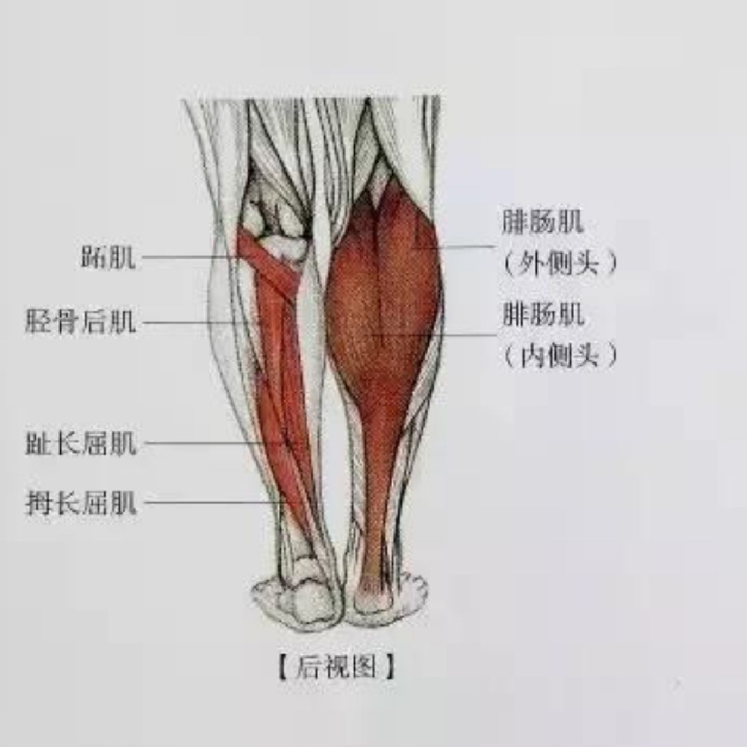 跳绳运动导致的小腿酸痛