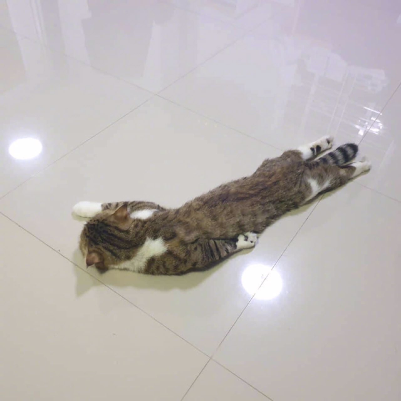 我感觉双腿在颤抖