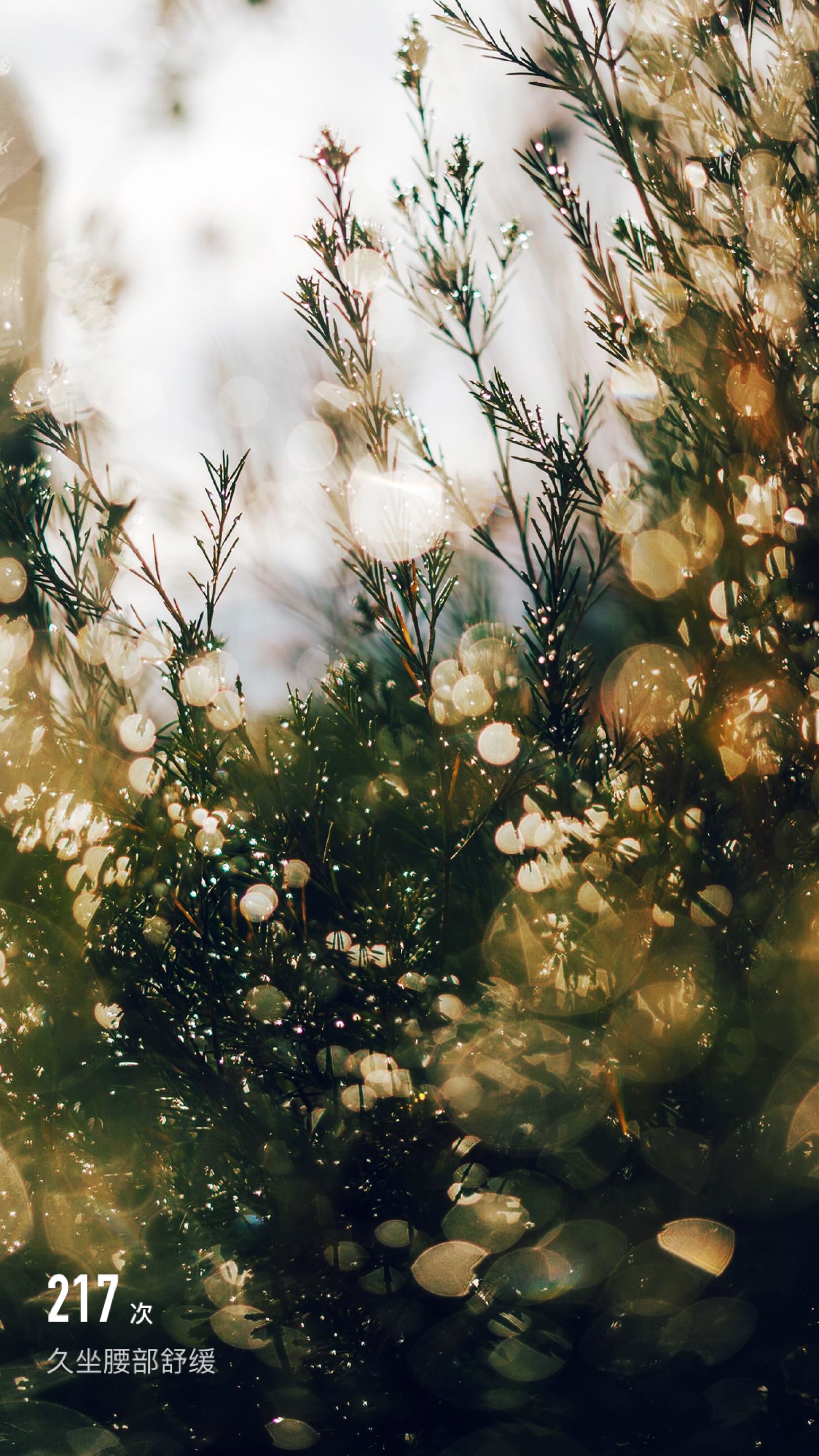 舒缓放松～开启周日好心情