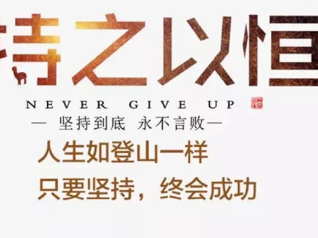 精彩动态