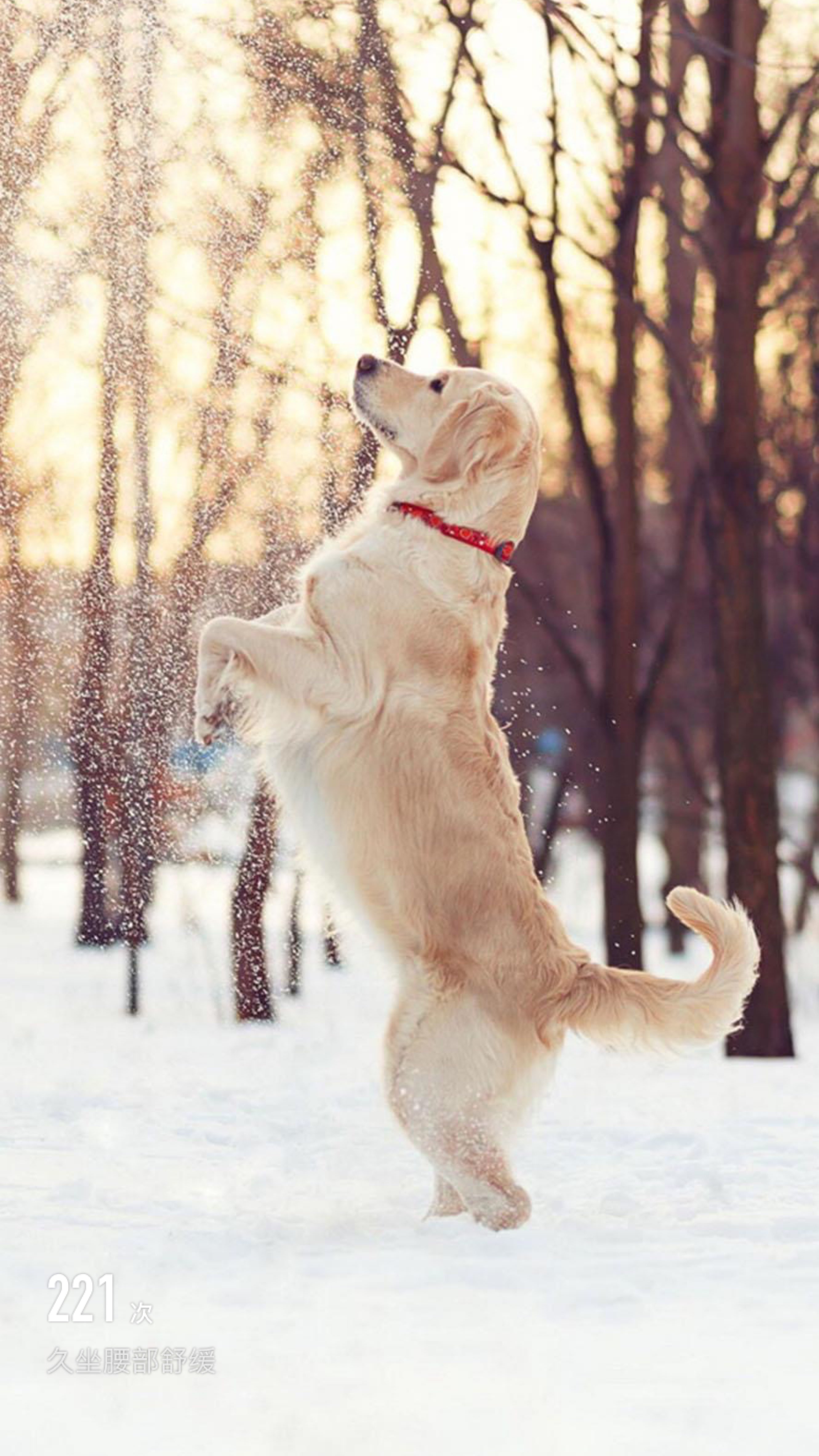 舒缓放松～开启一天好心情