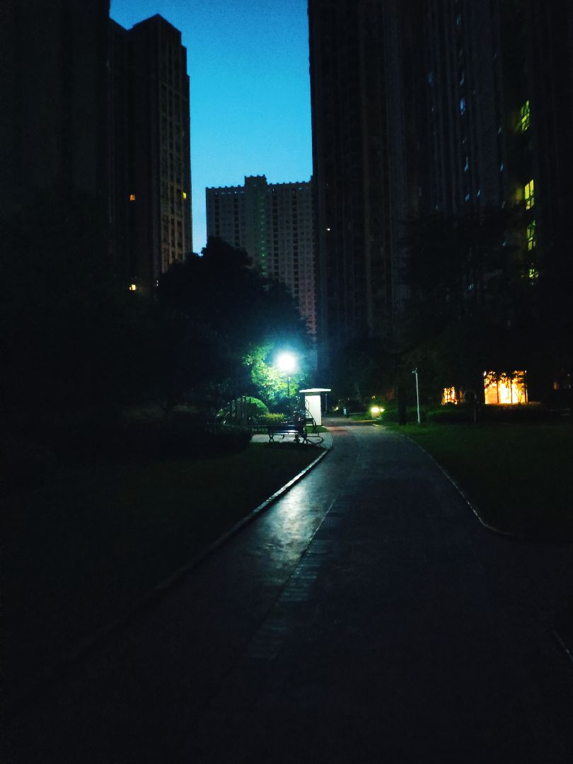 早起出来散步,从天黑跑到天亮,儿子还在呼呼大睡