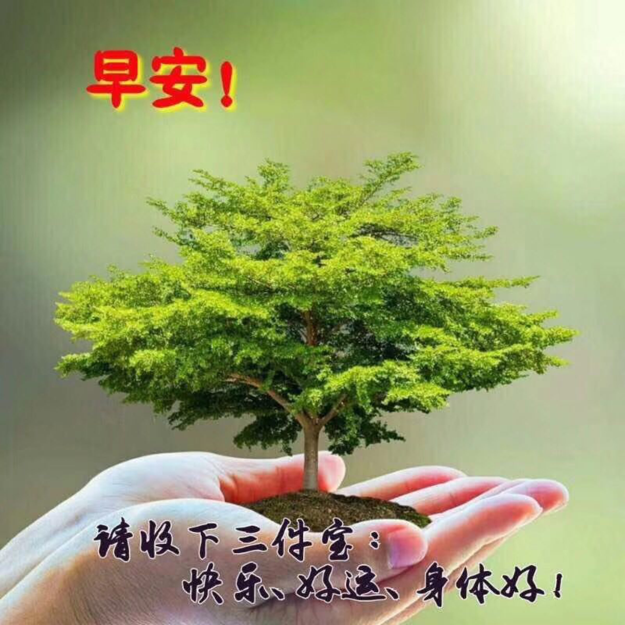 k友们早上好 美好的生活从微笑开始