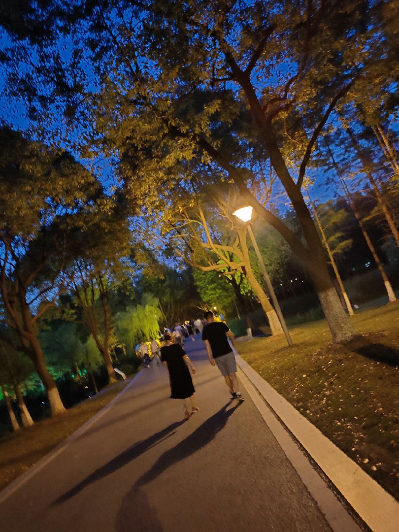 今天和爸妈纯散步~一不小心抓拍到一张很美很暖心的照片