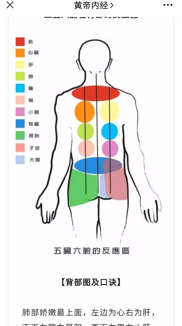 杭州寒芯揪痧馆图谱图片