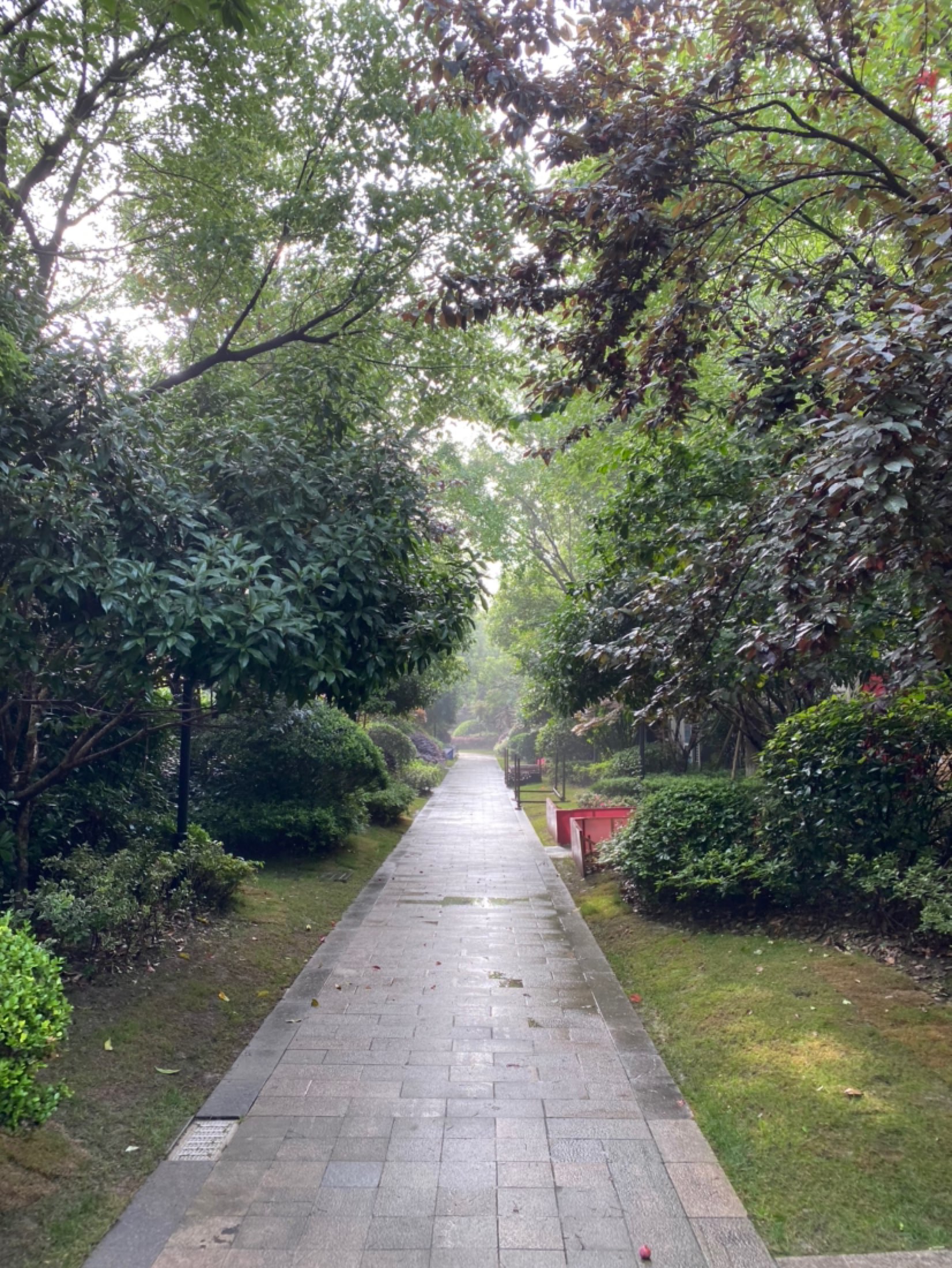 下雨天对户外跑不太友好～晚上也不能熬夜早上很容易起不来体力也差