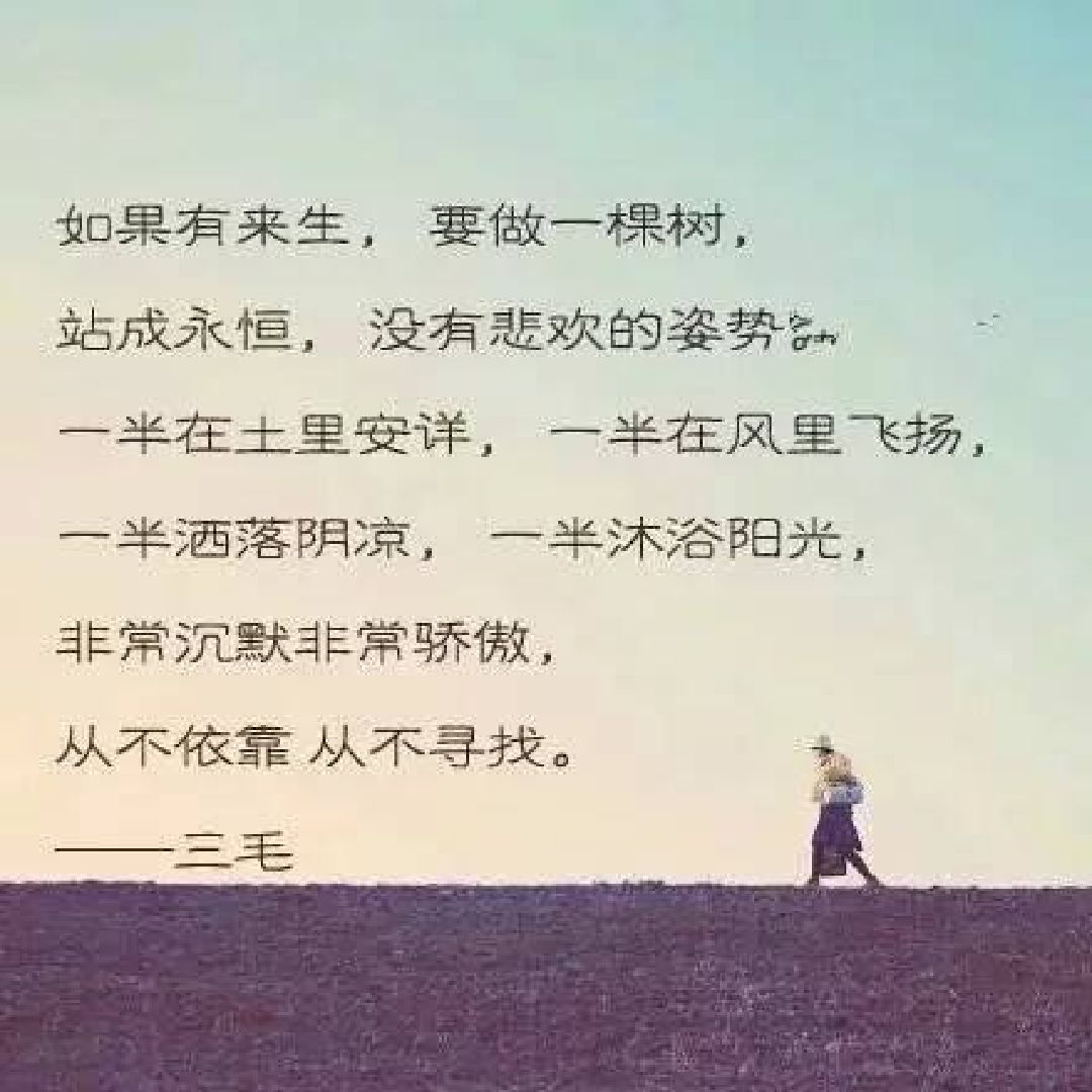 如果有来生,要做一棵树,站成永恒_keep
