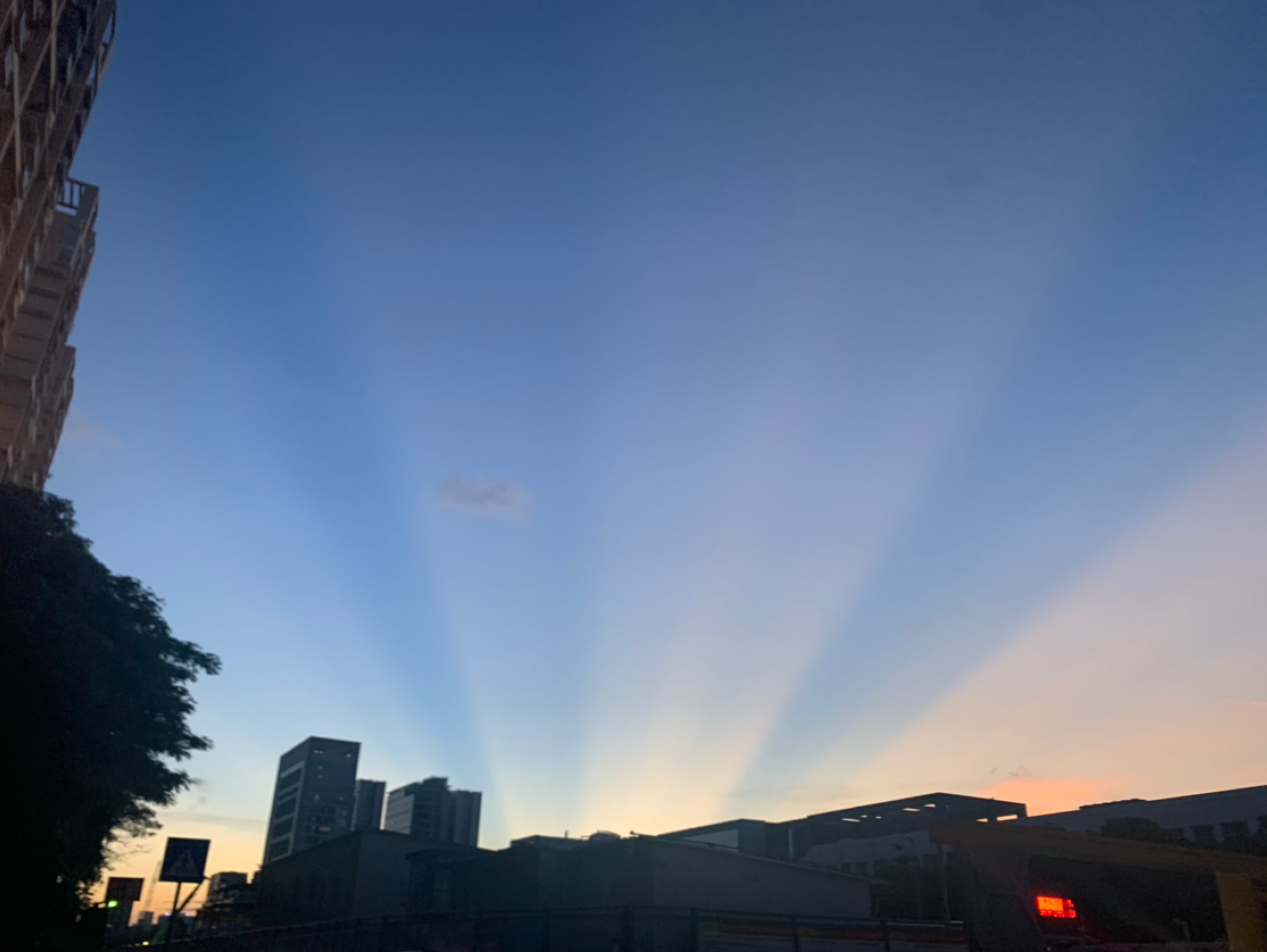 "幸运之光"晚上陪宝贝去公园散步,回来的路上,雅姐兴奋的喊"妈妈快点