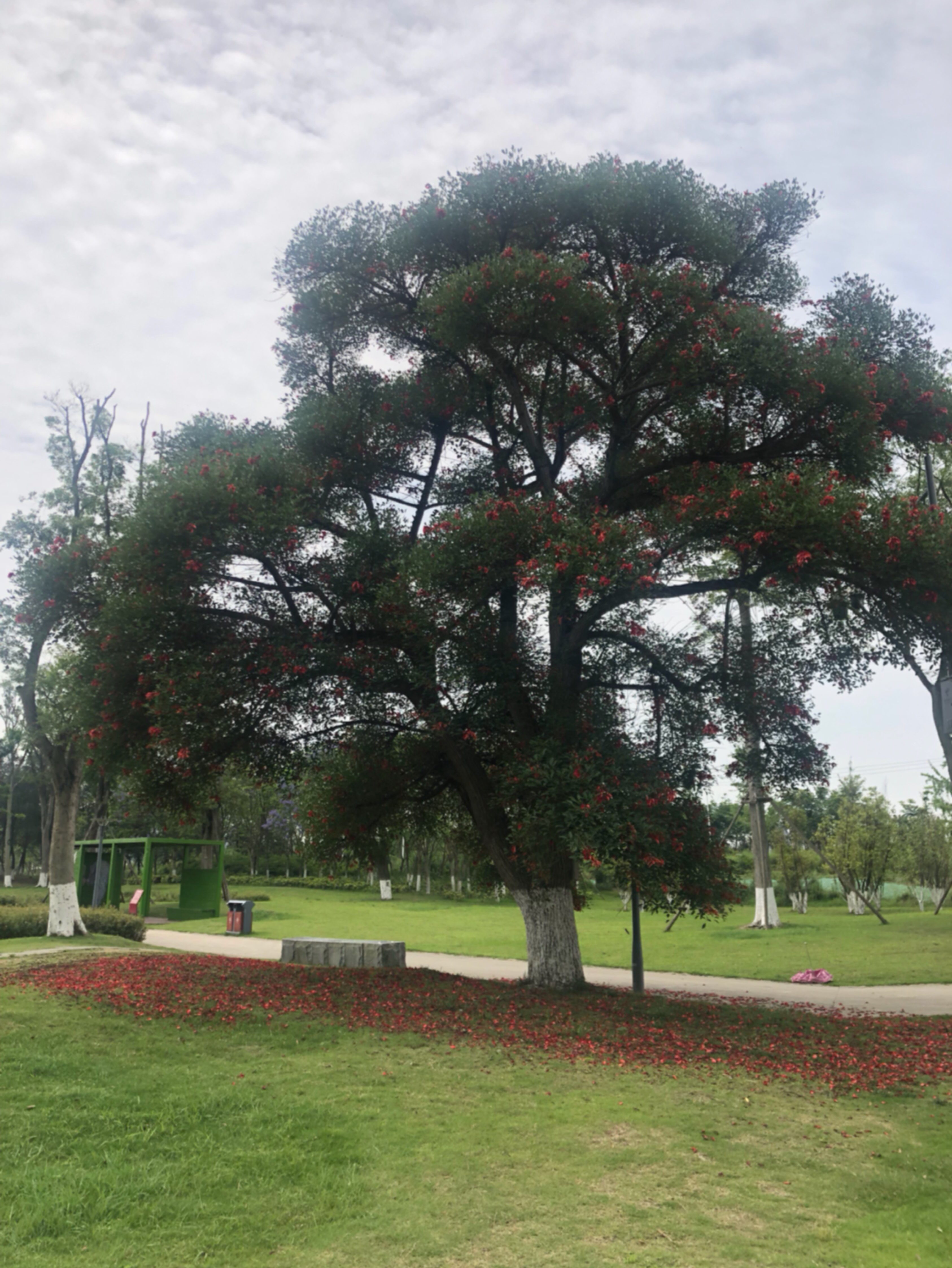 打卡[鸡腿][鸡腿][鸡腿]_keep