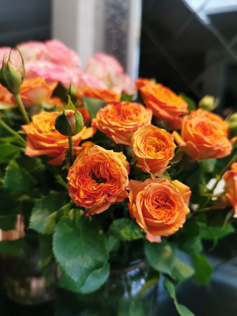 毛毛细雨的清晨大汗淋漓后来一杯快乐肥宅水