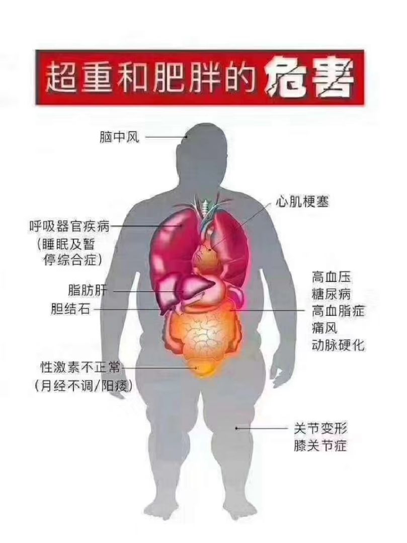 你觉得看见了生命的希望最近流传一句话 减肥,燃烧的是你的脂肪不减肥